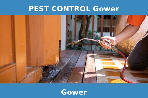 PEST CONTROL Gower